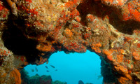 Tunnel Reef - 2007.09.18