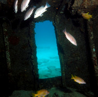 C-59 Wreck - 2007.09.18