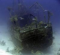 Mike's Reef & Sea Viking Wreck - 2007.08.11