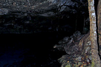 Dos Ojos Upstream - 2009.01.14