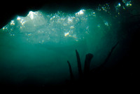 Cenote Chac-Mool Upstream - 2007.09.20