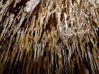 Cenote Chac-Mool Downstream - 2007.09.20
